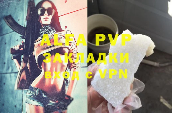 ПСИЛОЦИБИНОВЫЕ ГРИБЫ Богданович