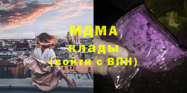ПСИЛОЦИБИНОВЫЕ ГРИБЫ Богданович
