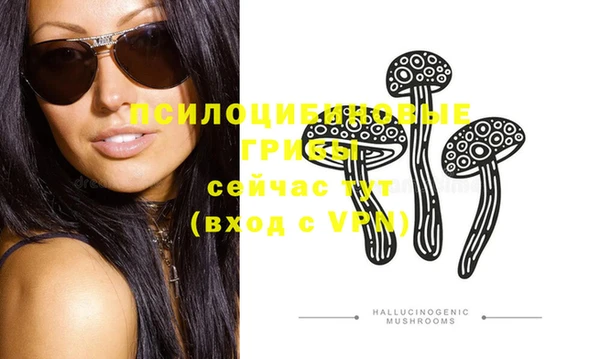 ПСИЛОЦИБИНОВЫЕ ГРИБЫ Богданович