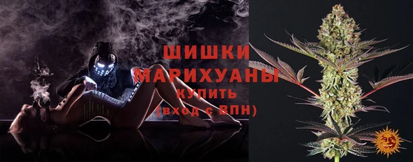 ПСИЛОЦИБИНОВЫЕ ГРИБЫ Богданович