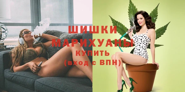 ПСИЛОЦИБИНОВЫЕ ГРИБЫ Богданович