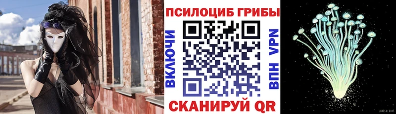 купить наркотик  Коломна  Псилоцибиновые грибы Magic Shrooms 
